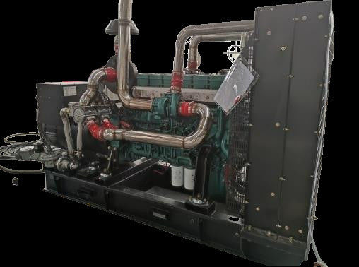 CBM Natural Gas Power Generator 1800RPM AC230V CNG Electric Generator