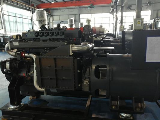 Steyr T12 CBM Natural Gas Powered Generator 200KW Natural Gas Generator